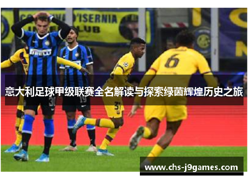 意大利足球甲级联赛全名解读与探索绿茵辉煌历史之旅