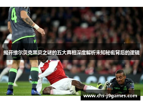 揭开维尔贝克黑贝之谜的五大真相深度解析未知秘密背后的逻辑 揭开维尔贝克黑贝之谜的五大真相深度解析未知秘密背后的逻辑